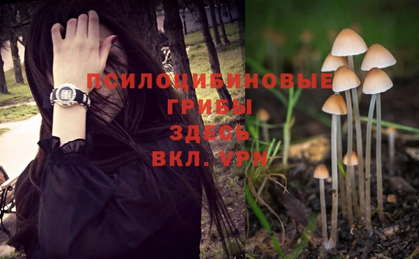 бутират Беломорск