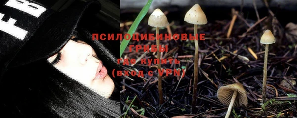 стафф Белокуриха