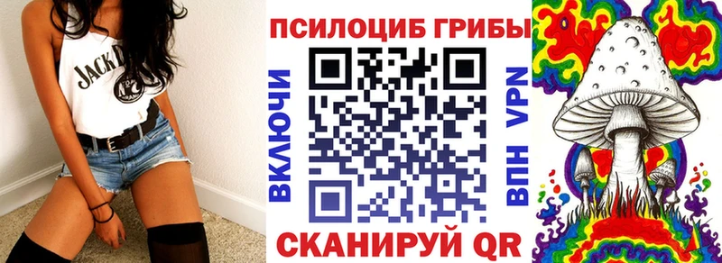 Псилоцибиновые грибы Psilocybe  Мезень 