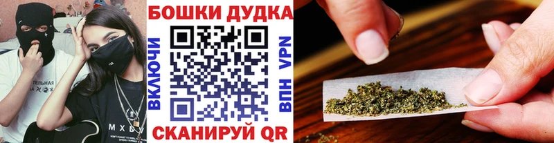 Бошки Шишки планчик  купить   Мезень 